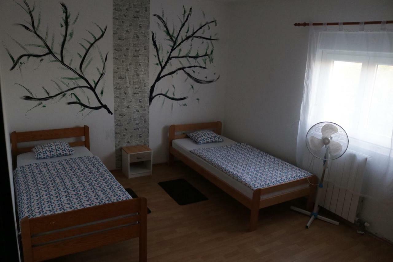 Green Hostel Zadar Exteriör bild